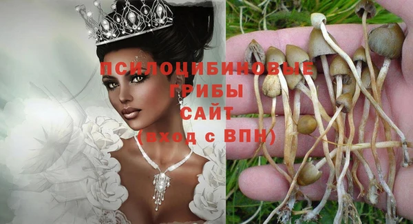 спайс Алексеевка