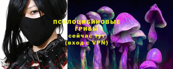 мяу мяу мука Алзамай