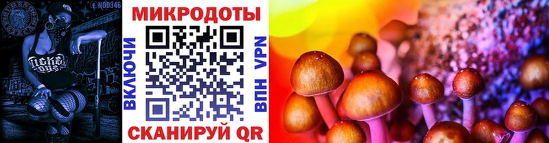 Галлюциногенные грибы Psilocybine cubensis  Омутнинск 